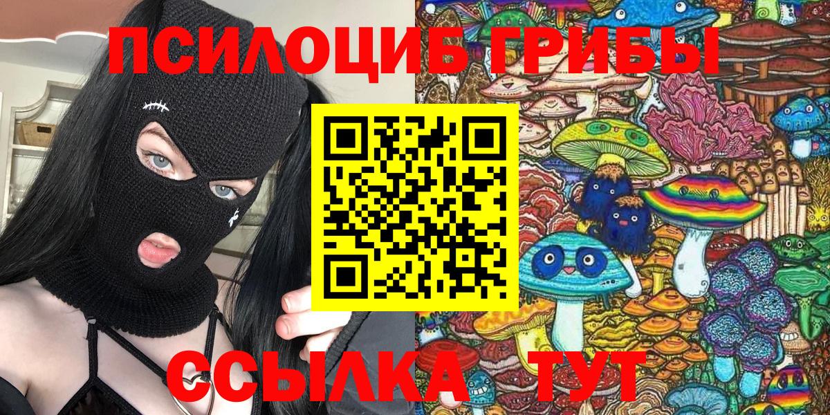 Тутаев  наркотики  Вход с VPN  Псилоцибиновые грибы Psilocybine cubensis 