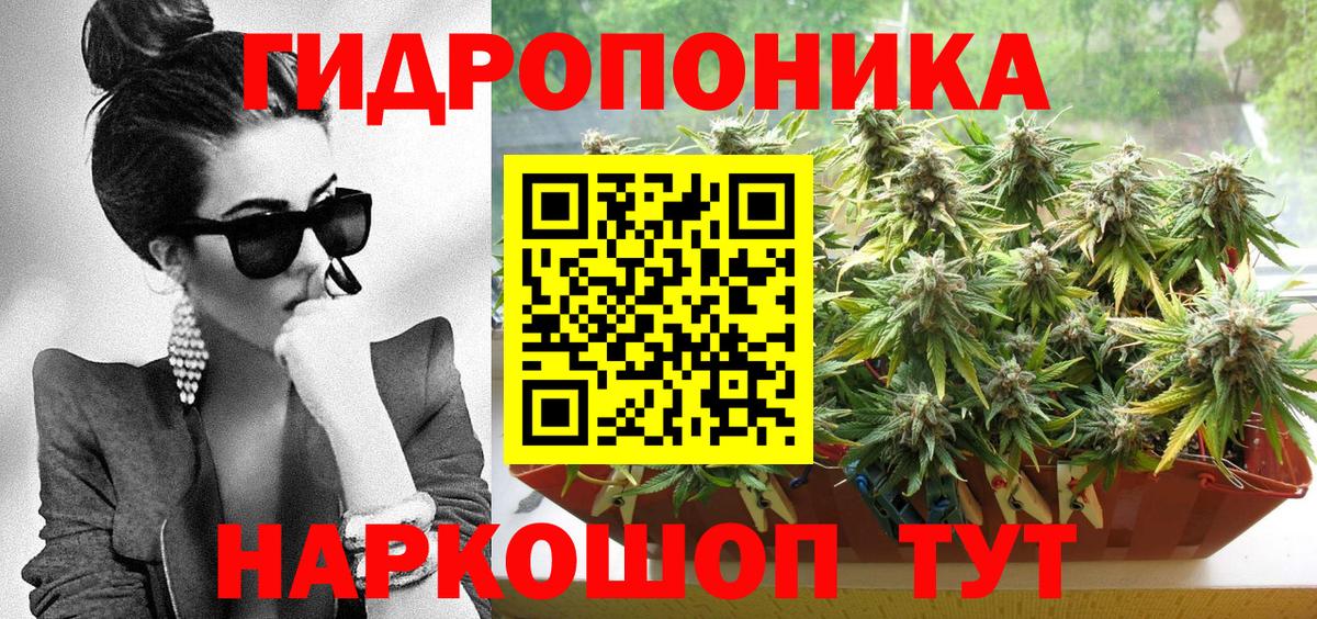 Шишки марихуана план Тутаев